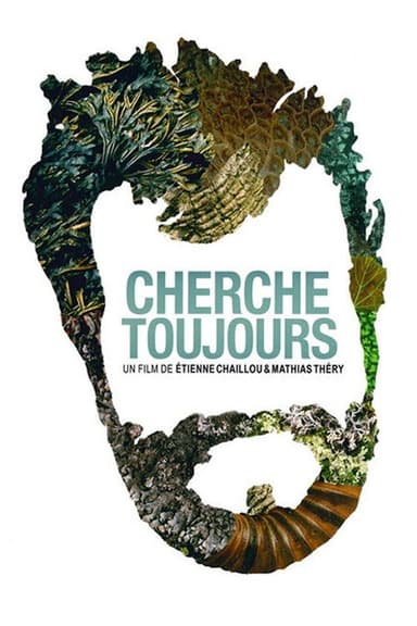 Cherche toujours poster