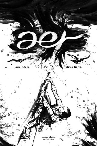 Aer poster