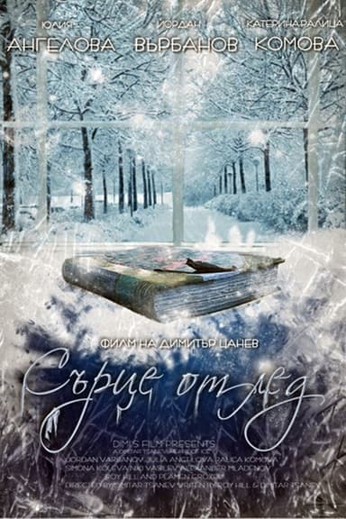 Heart of Ice poster
