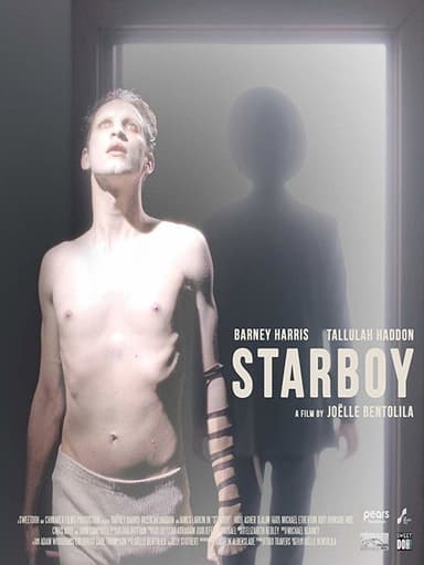 Starboy poster