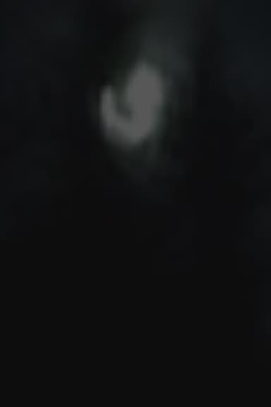 Moonlight poster