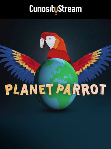 Planet Parrot poster