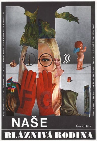 Naše bláznivá rodina poster