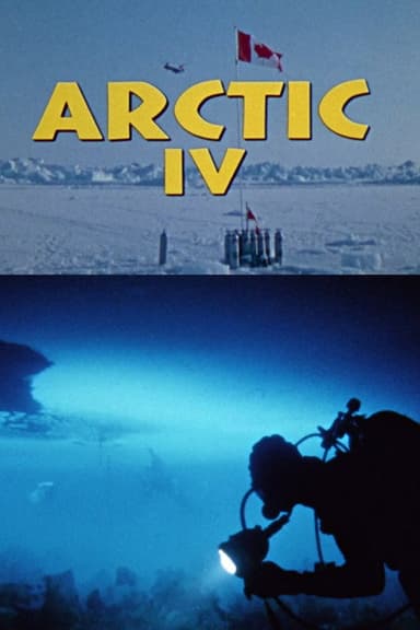 Arctic IV poster