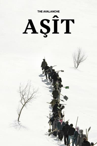 The Avalanche poster