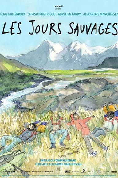 Wild Days poster