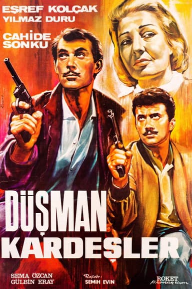 Düşman Kardeşler poster