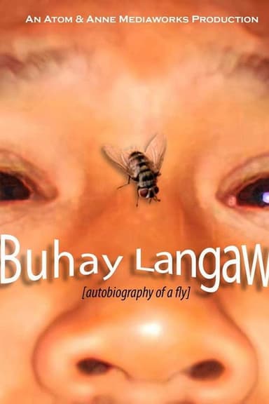 Autobiography of a Fly poster
