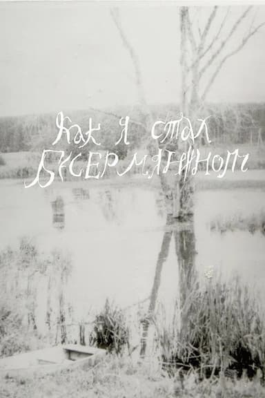 How I Became a Besermyan poster