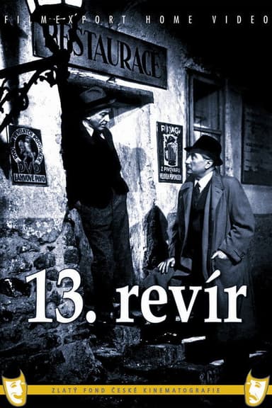 13th district poster