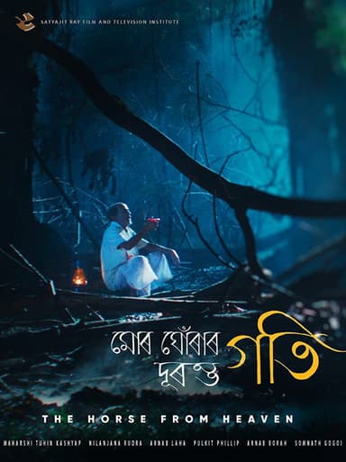 The Horse From Heaven poster