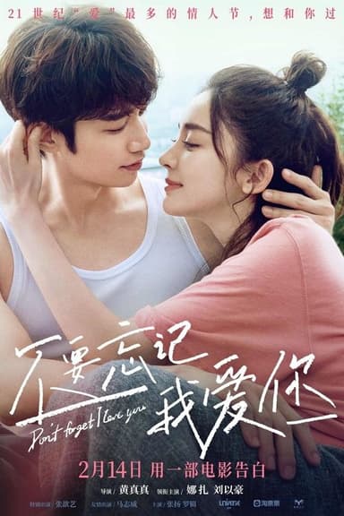 Don't Forget I Love You poster