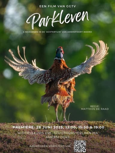 Parkleven poster