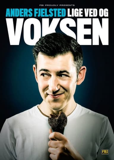 Anders Fjelsted: Lige ved og Voksen poster