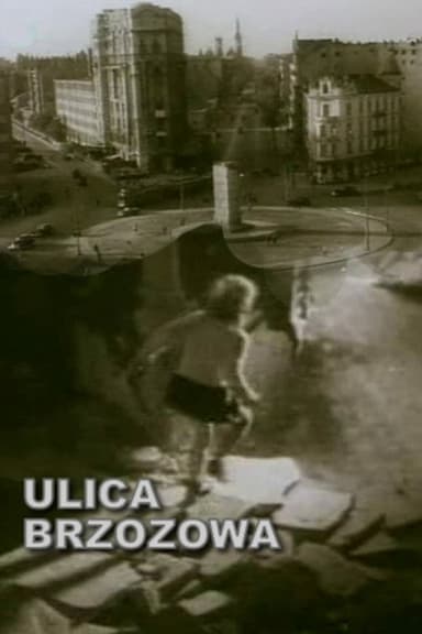 Brzozowa Street poster