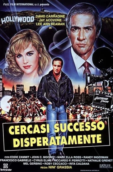 Desperately Looking For Success poster