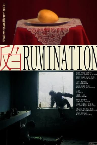 Rumination poster