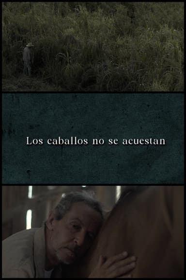 Horses Don’t Lie Down poster