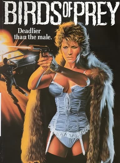 Birds of Prey poster
