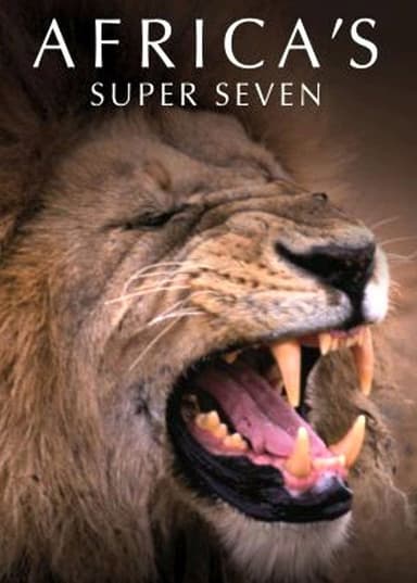 Africa's Super Seven poster