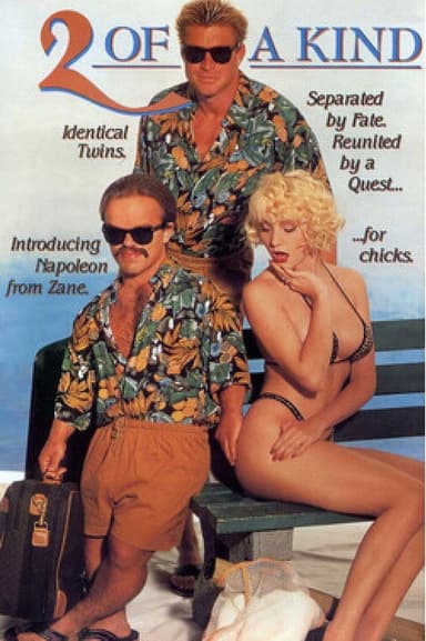 2 of a Kind poster