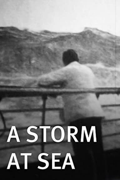 A Storm at Sea poster