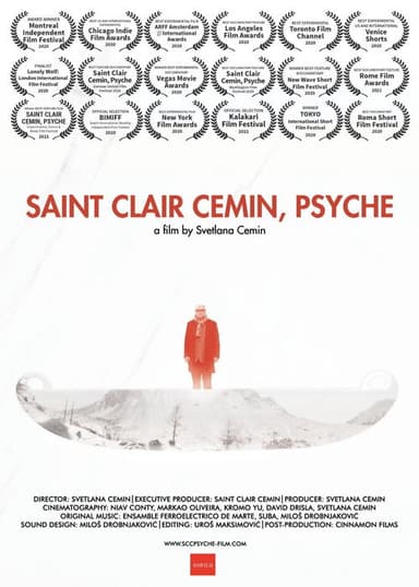 Saint Clair Cemin, Psyche poster