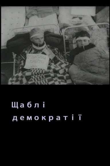 Levels Of Democracy poster