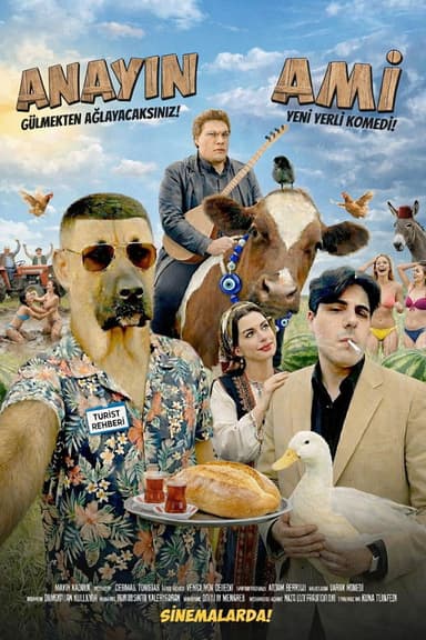 Anayın Ami poster