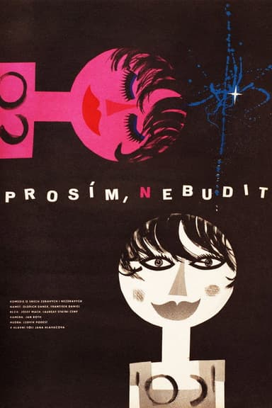 Prosím, nebudit poster