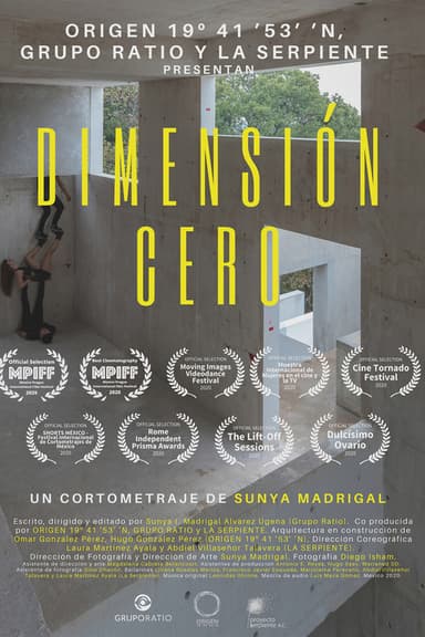Zero Dimension poster