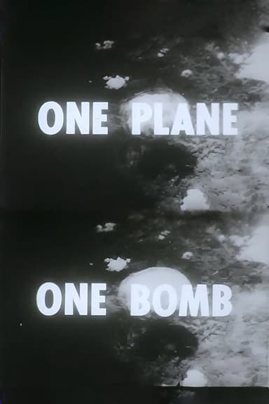One Plane, One Bomb poster