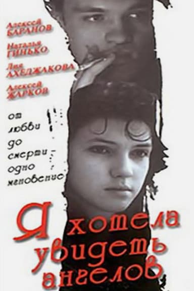 I Wanted to See Angels poster