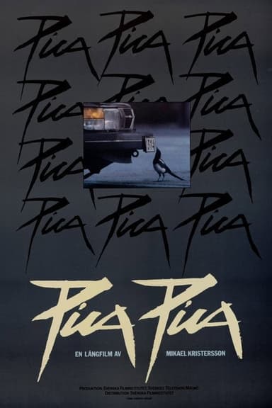 Pica Pica poster