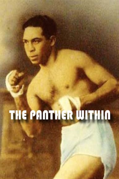 The Panther Within poster