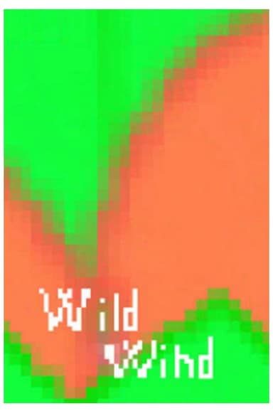 Wild Wind poster