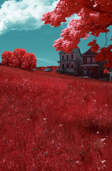 Braddock, PA poster