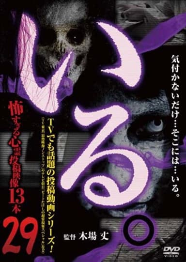 「Iru.」~ Kowasugiru Tōkō Eizō 13-hon ~ Vol.29 poster