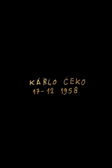 Karlo Čeko, Strasbourg Saint-Denis, Paris poster