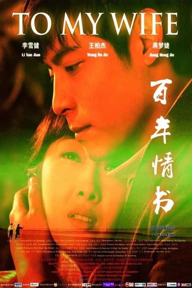 百年情书 poster