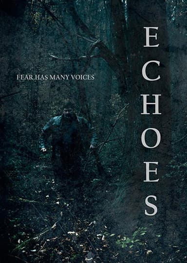 Echoes poster