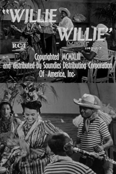 Willie Willie poster