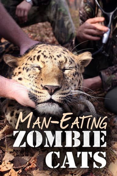 Man-Eating Zombie Cats poster