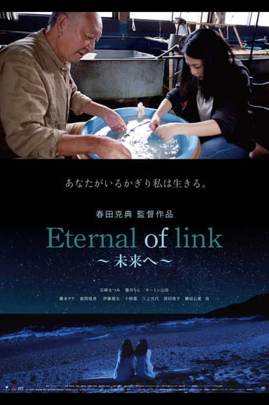 Eternal of Link poster