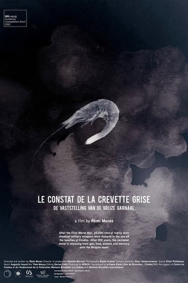 The Gray Shrimp Report poster