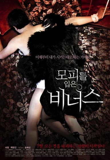 Venus in Furs poster