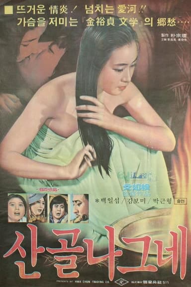 Wanderer poster