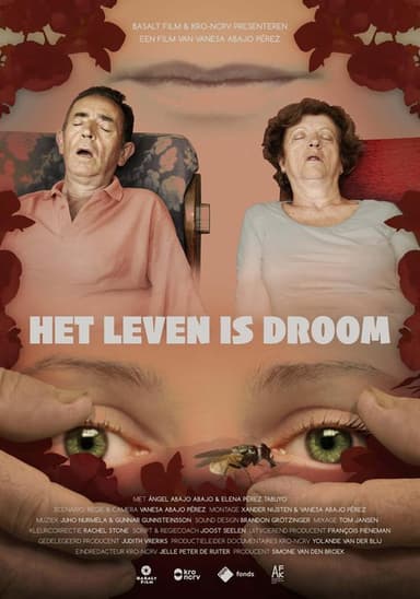 Life Is Dream poster