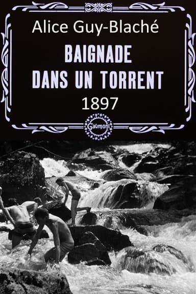 Bathing in a Stream poster