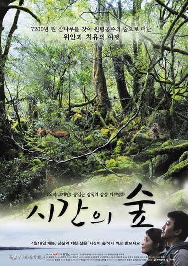 Forest of Time poster